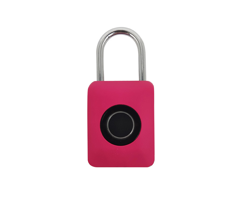 Fingerprint lock