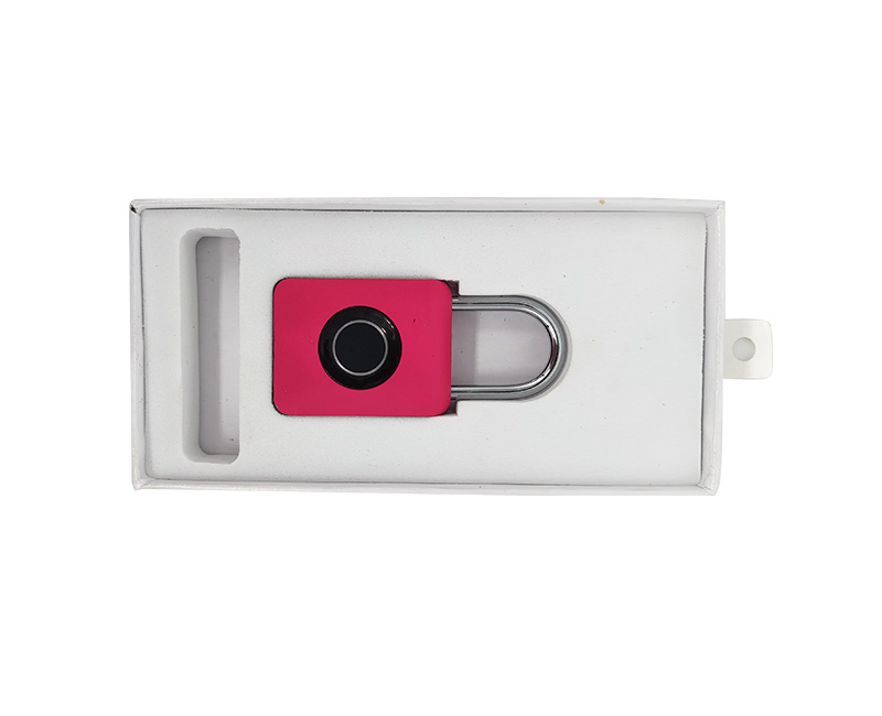 Fingerprint lock
