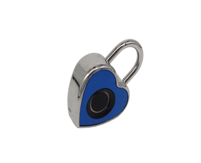 Fingerprint lock